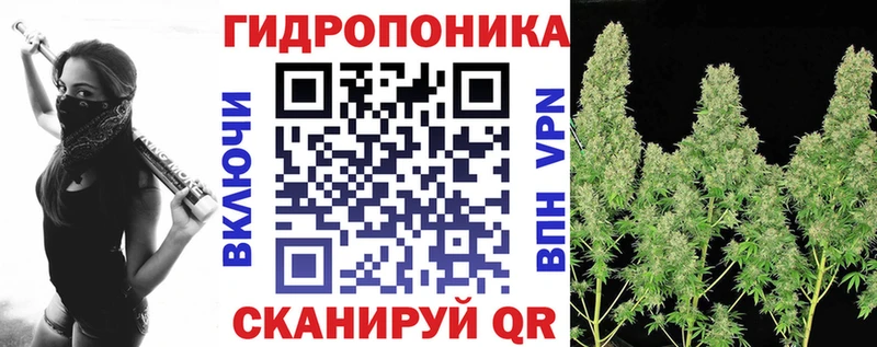 MEGA как войти  Элиста  Каннабис OG Kush 